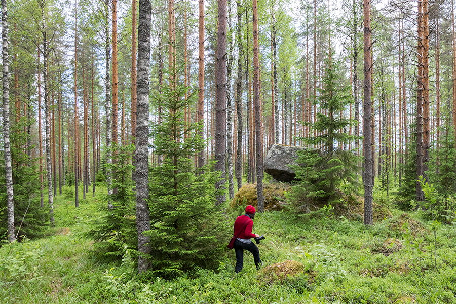 Vuoren päällyskivi, Tihusniemi