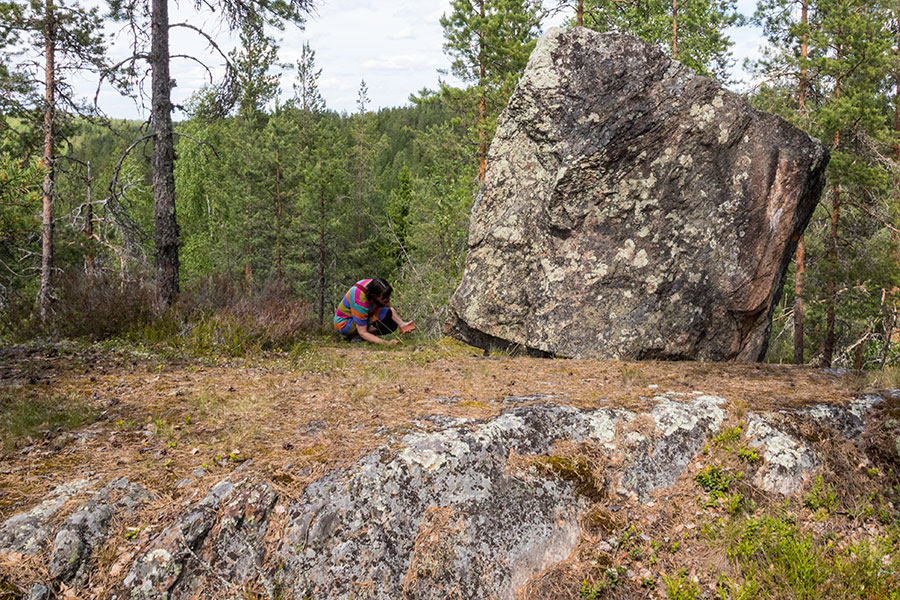 Linnavuori, Ihantsalo, Puumala