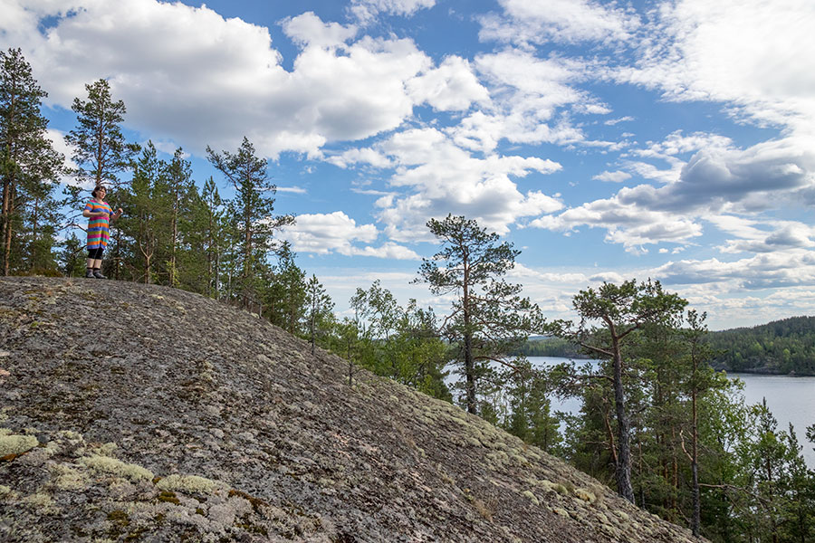 Sakastinkukkula, Ihantsalo, Puumala