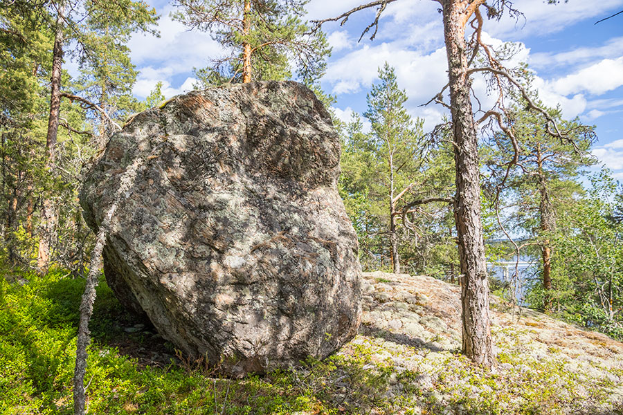 Sakastinkukkula, Ihantsalo, Puumala