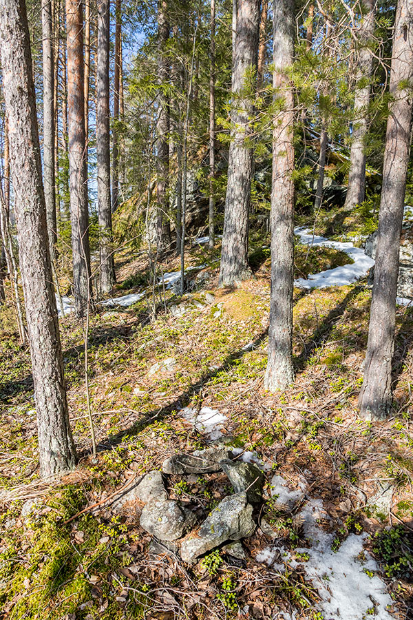 Maikonkivi, Särkilahti, Leppävirta