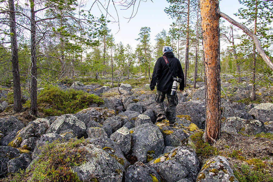 Konesniemi, Ivalo