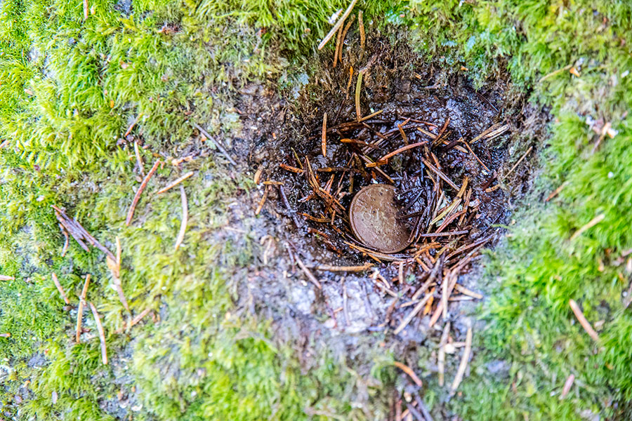 Valkkilan uhrikivi, Varparanta