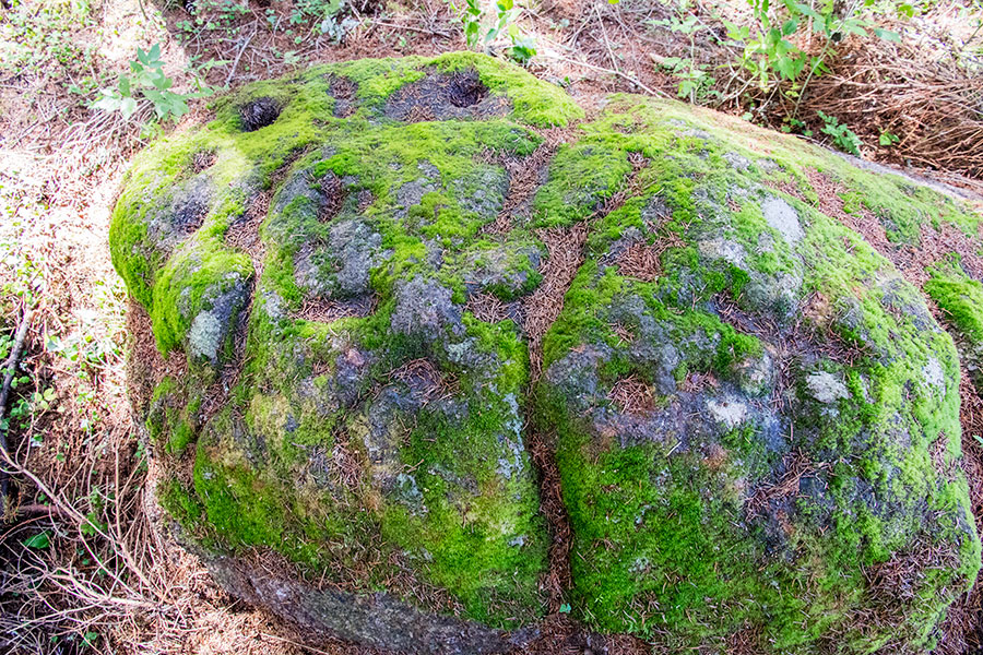 Valkkilan uhrikivi, Varparanta