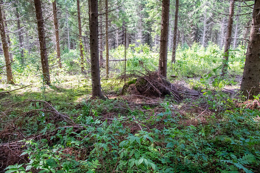 Valkkilan uhrikivi, Varparanta