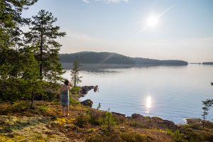 Vuori-Kukkarin niinipuulehto, Suvasvesi