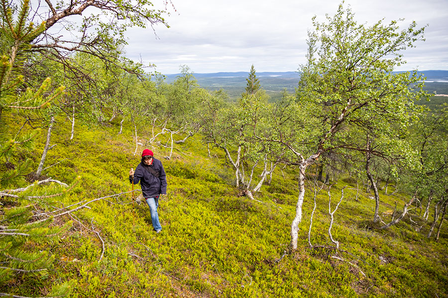 Akupää, Inari