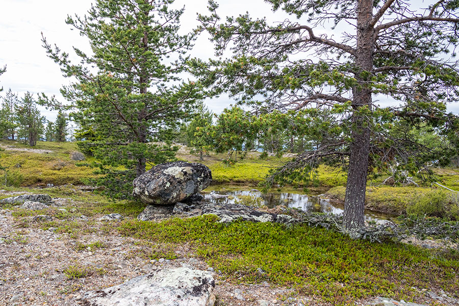 Akupää, Inari