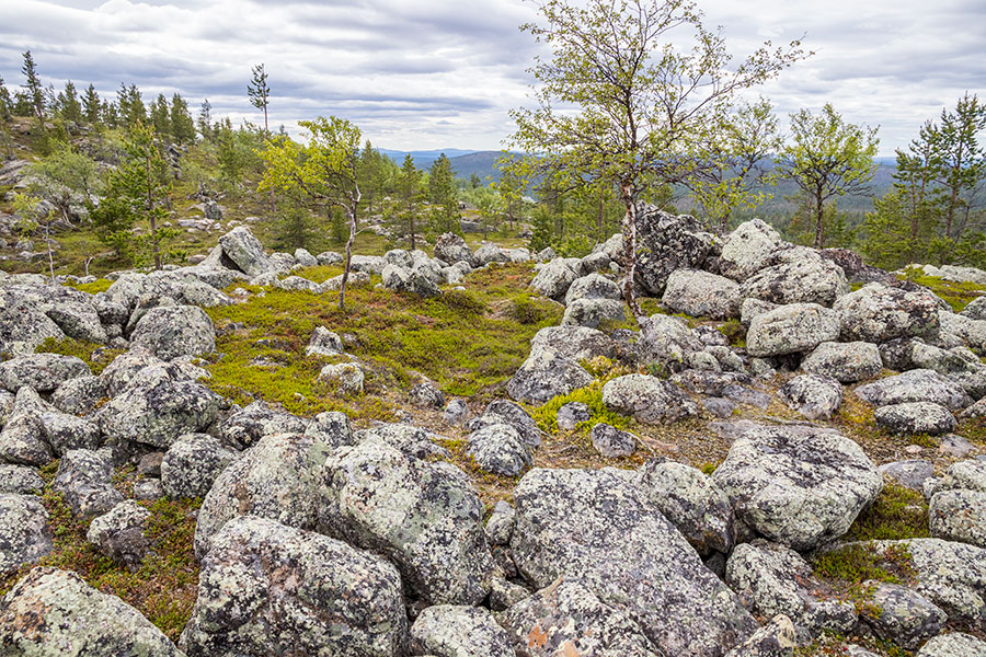 Akupää, Inari