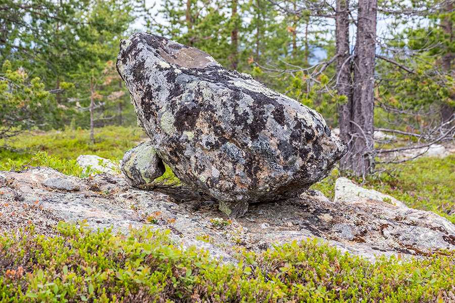 Akupää, Inari