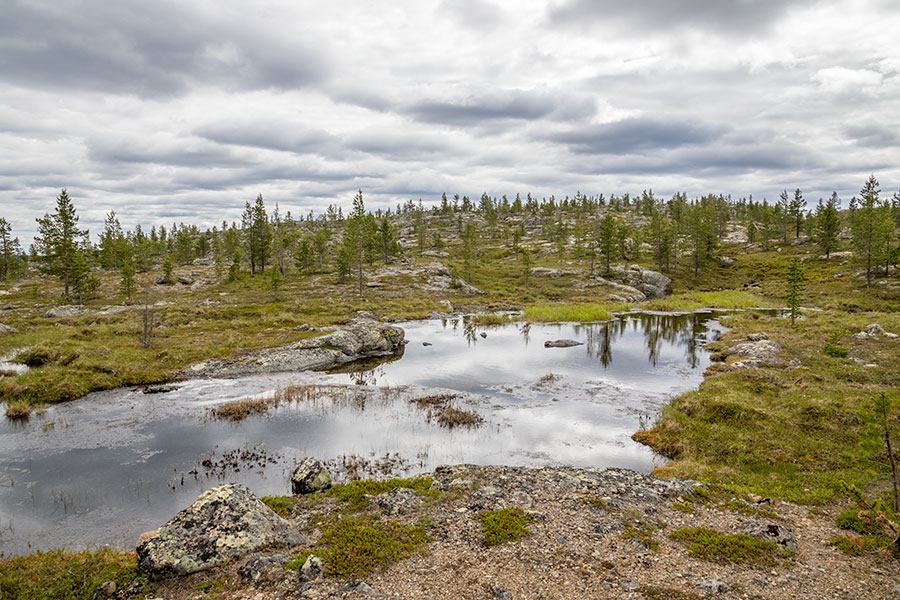 Akupää, Inari