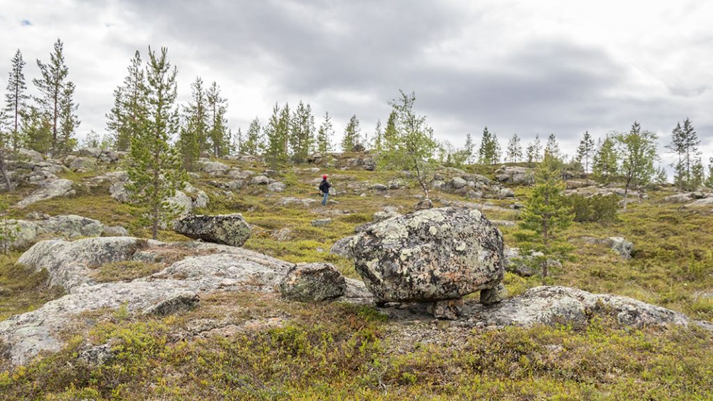 Akupää, Inari