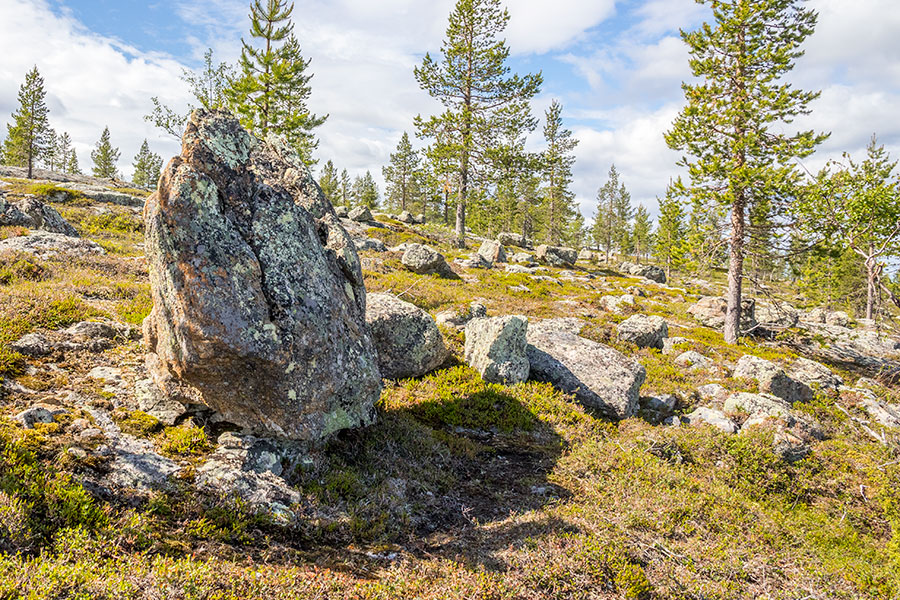 Akupää, Inari