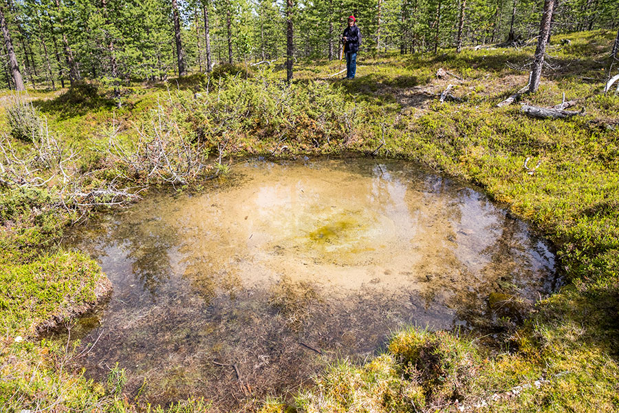 Akupää, Inari