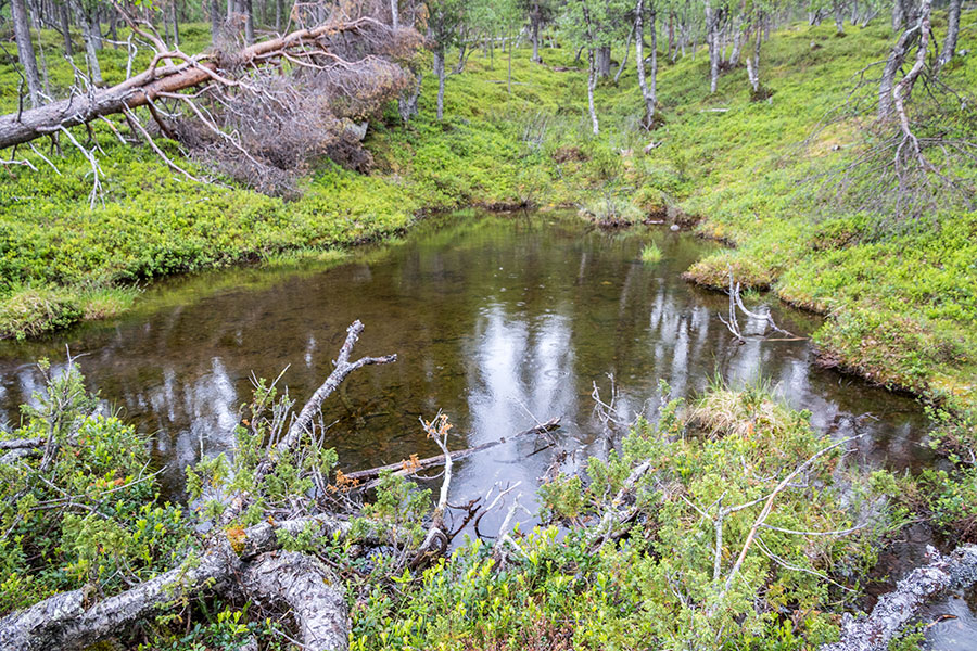 Akku, Inari