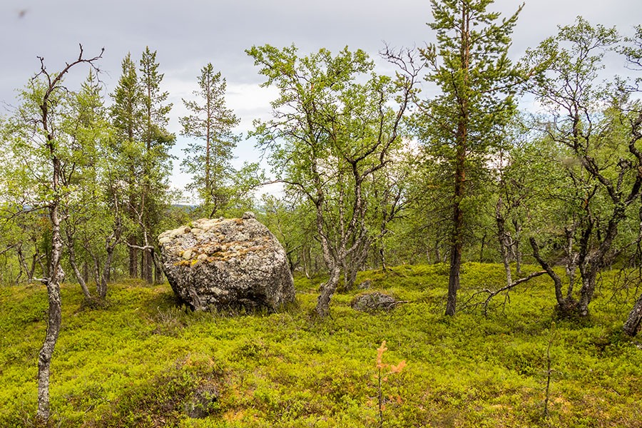 Akku, Inari