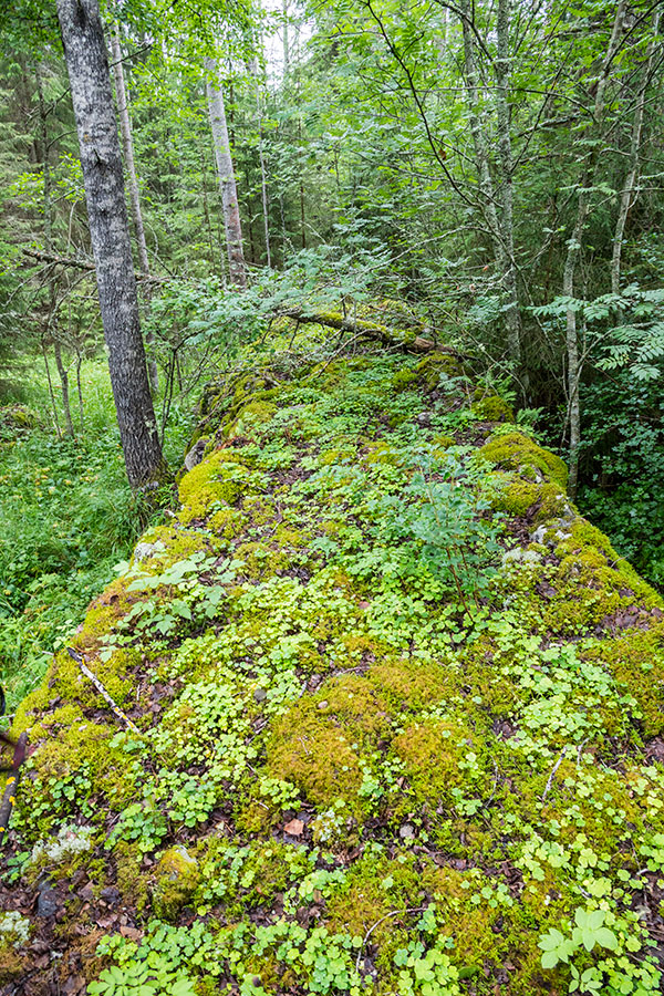 Solvängen, Kristiinankaupunki