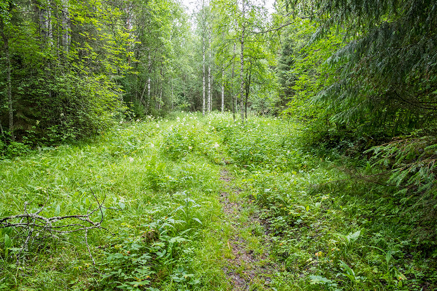 Solvängen, Kristiinankaupunki