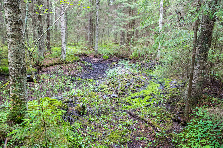 Solvängen, Kristiinankaupunki