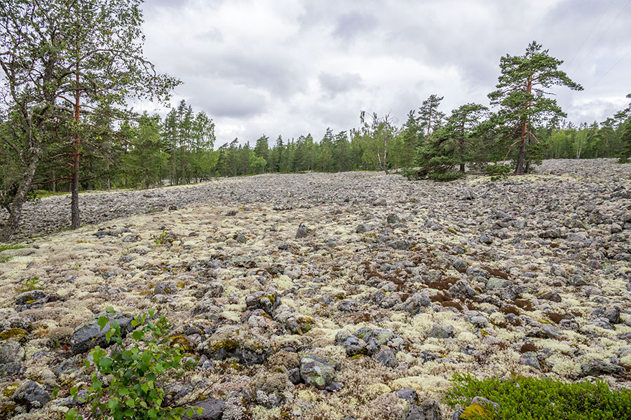 Pyhävuori, Lapväärtti