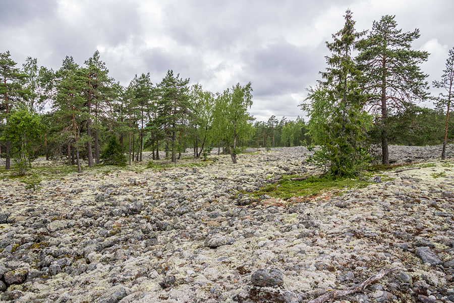 Pyhävuori, Lapväärtti