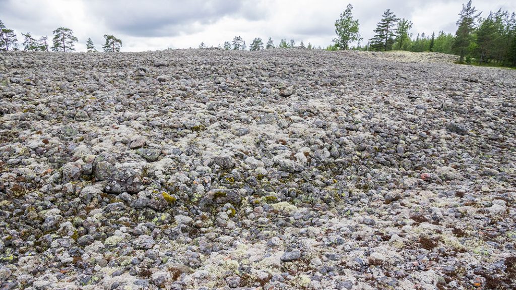 Pyhävuori, Lapväärtti