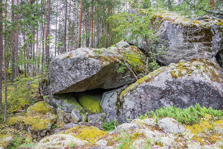 Loikansaari, Kolovesi