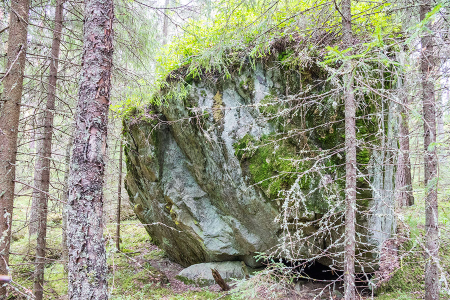 Loikansaari, Kolovesi