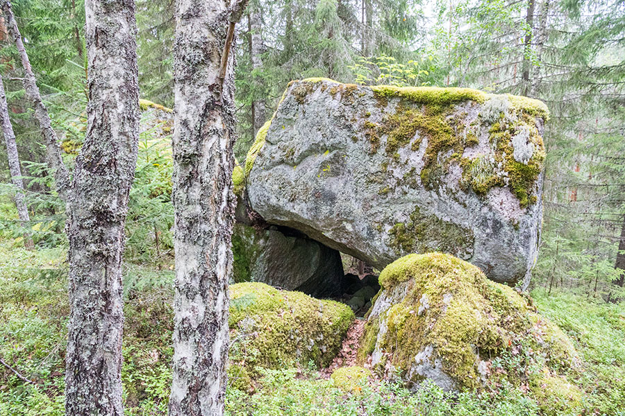 Loikansaari, Kolovesi