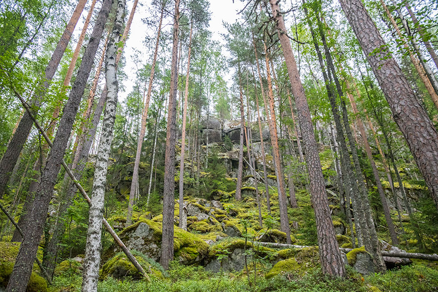 Pirunvuori, Koukunpolvi