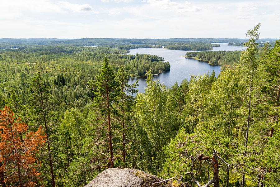 Neitvuori, Mikkeli