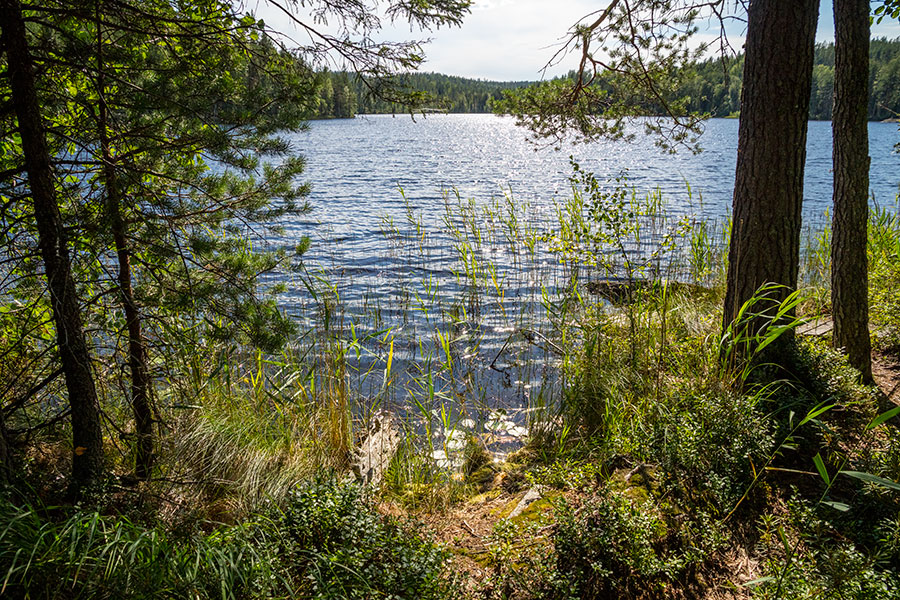 Pitkäjärven laavu, Juva