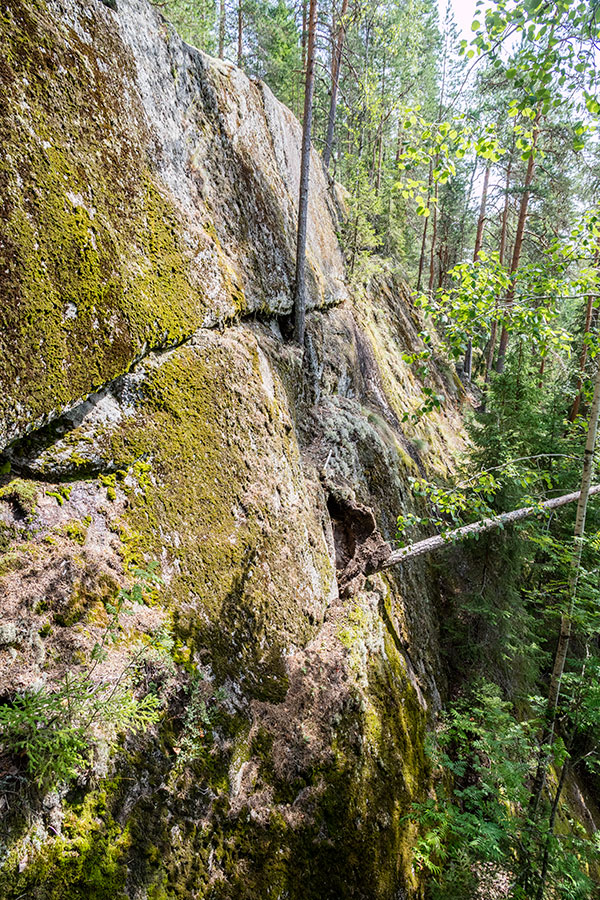 Karoliinanportaat, Viitasaari