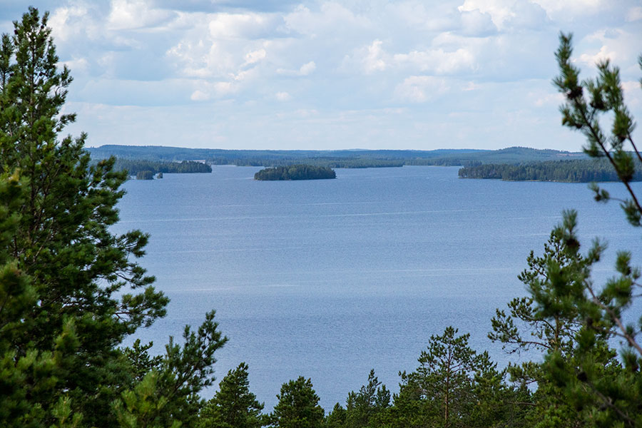 Tervamäen kappeli ja näkötorni, Viitasaari