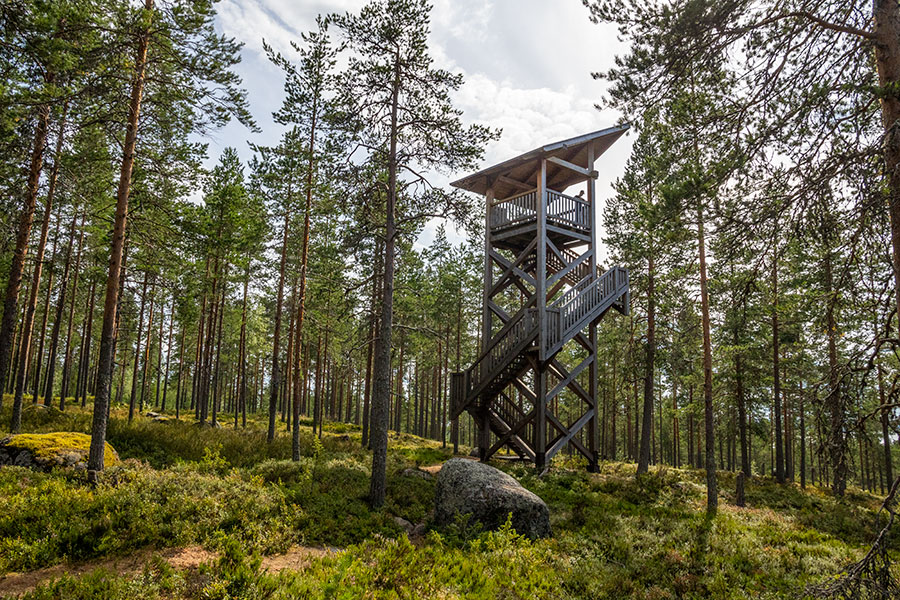 Tervamäen kappeli ja näkötorni, Viitasaari