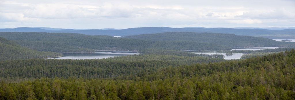 Näkymä Juppuravaaralta itään, Inari