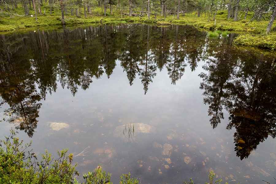 Juppuravaara, Inari