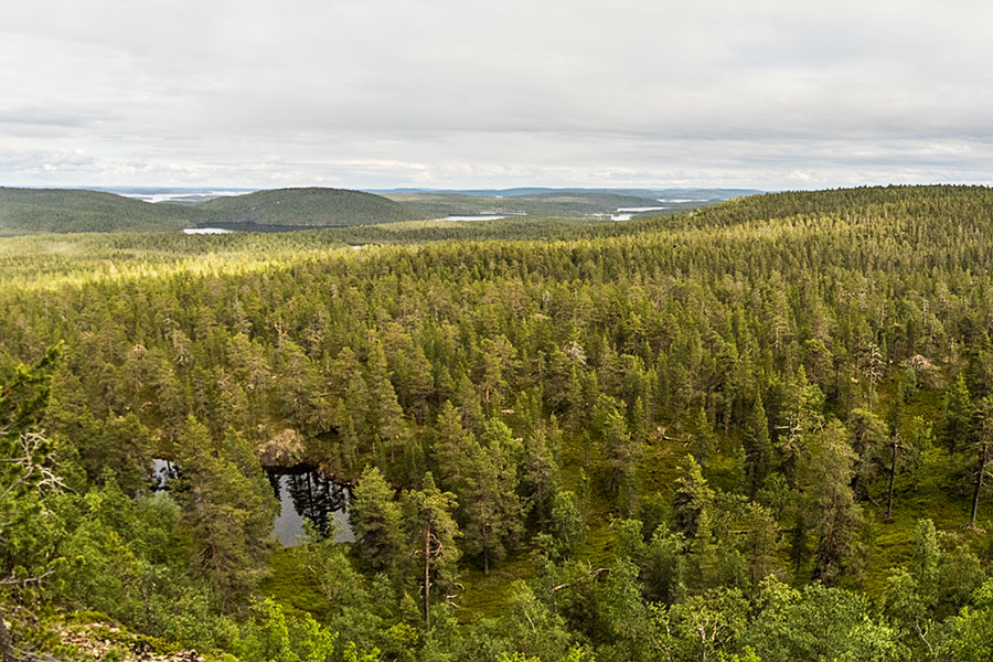 Näkymä Juppuravaaralta itään, Inari