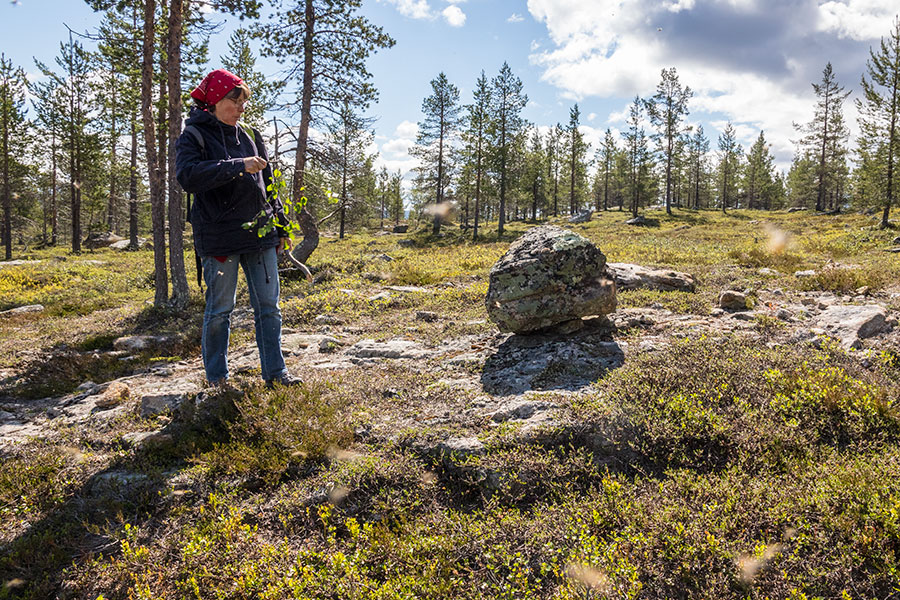 Kalkuselkä, Inari