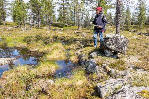Kalkuselkä, Inari