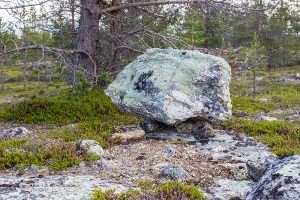 Kalkuselkä, Inari