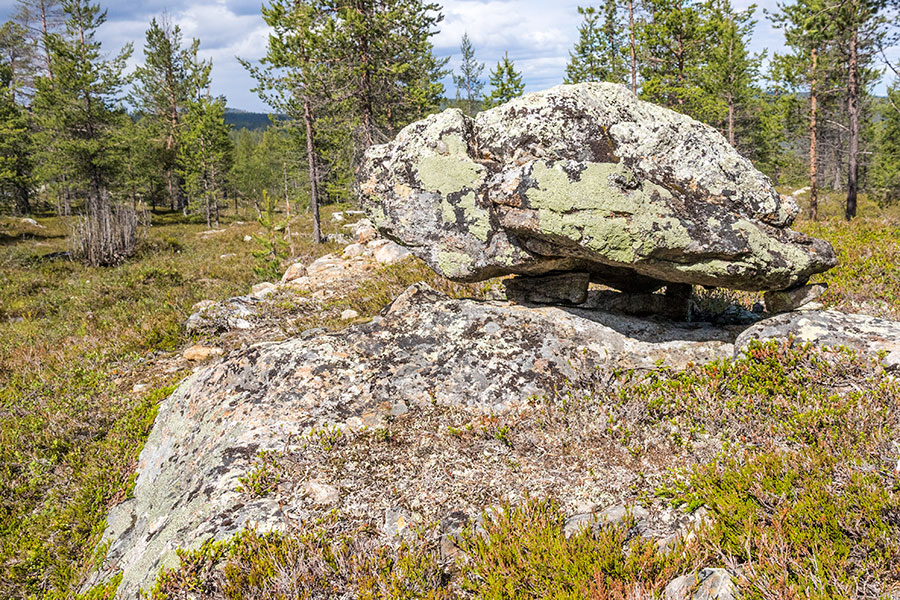 Kalkuselkä, Inari