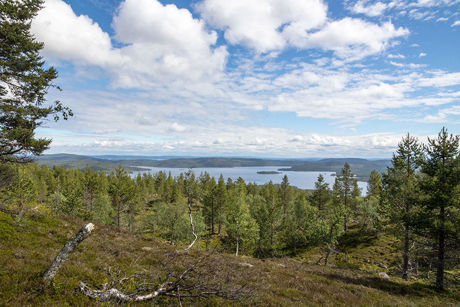 Kalkuselkä, Inari