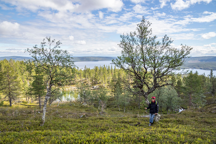 Kalkuselkä, Inari