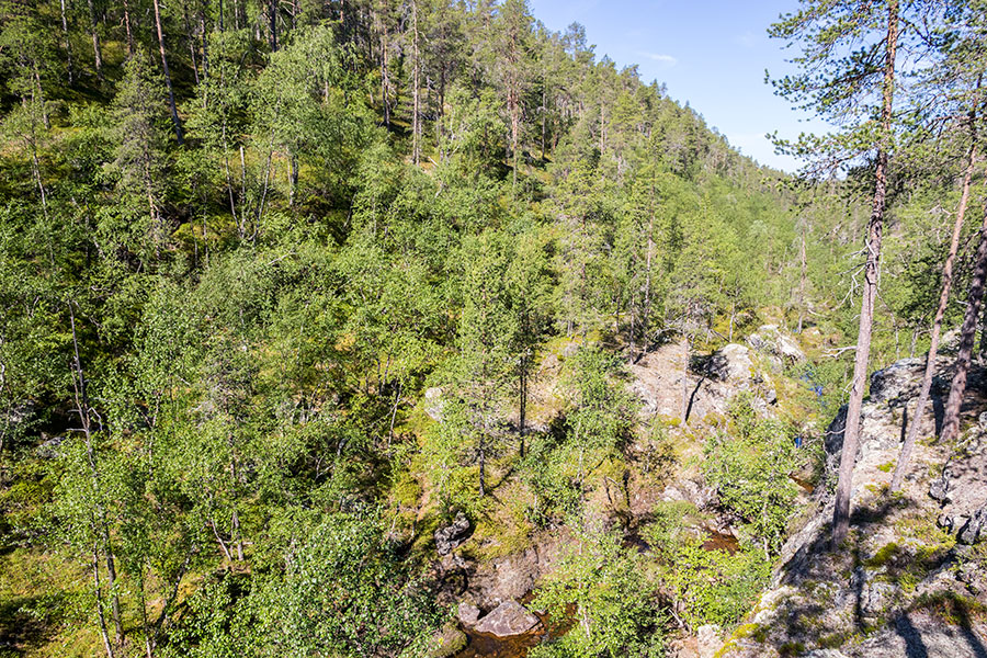 Martintupavaaran kuru, Inari