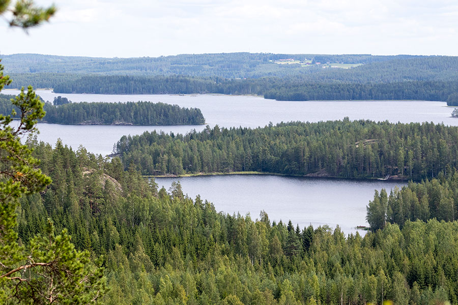 Neitvuori, Mikkeli