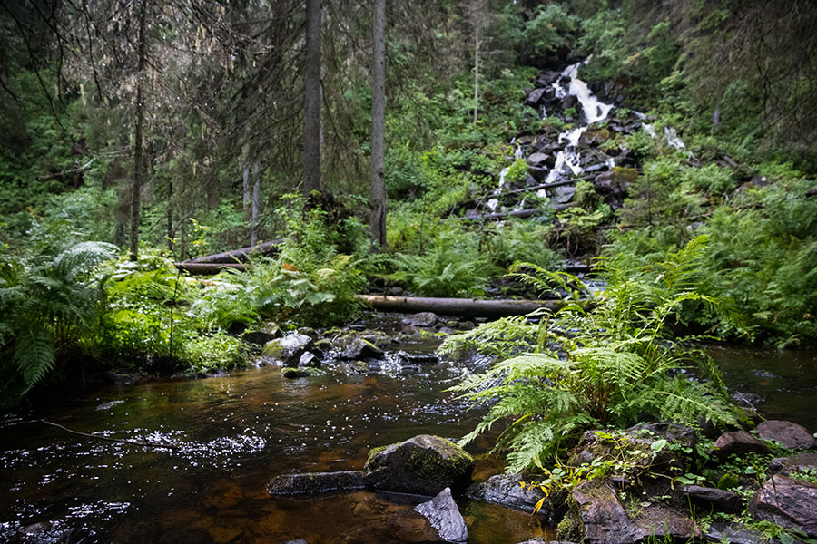 Korkeakoski, Maaninka