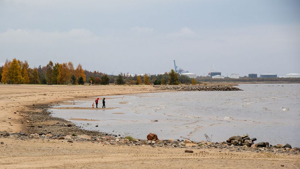 Nallikari, Oulu