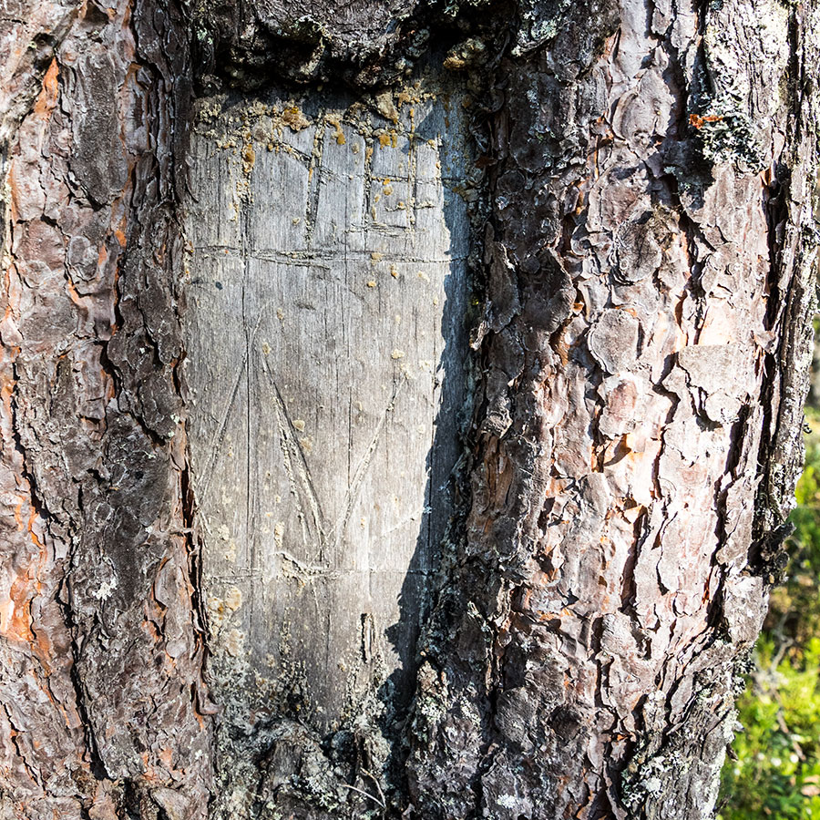 Pilkkavuori, Leppävirta