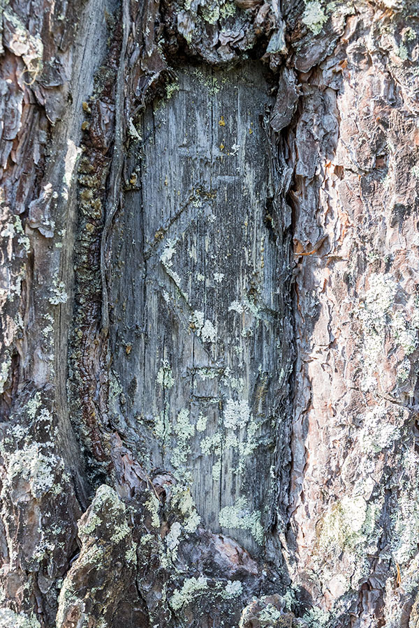 Pilkkavuori, Leppävirta